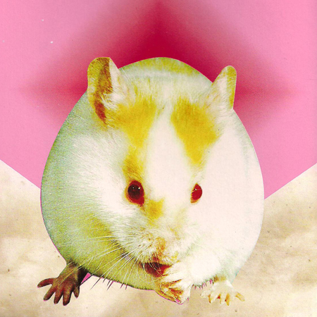EB  Ninho para Hamster, algodão natural esterilizado, cx +-50 g